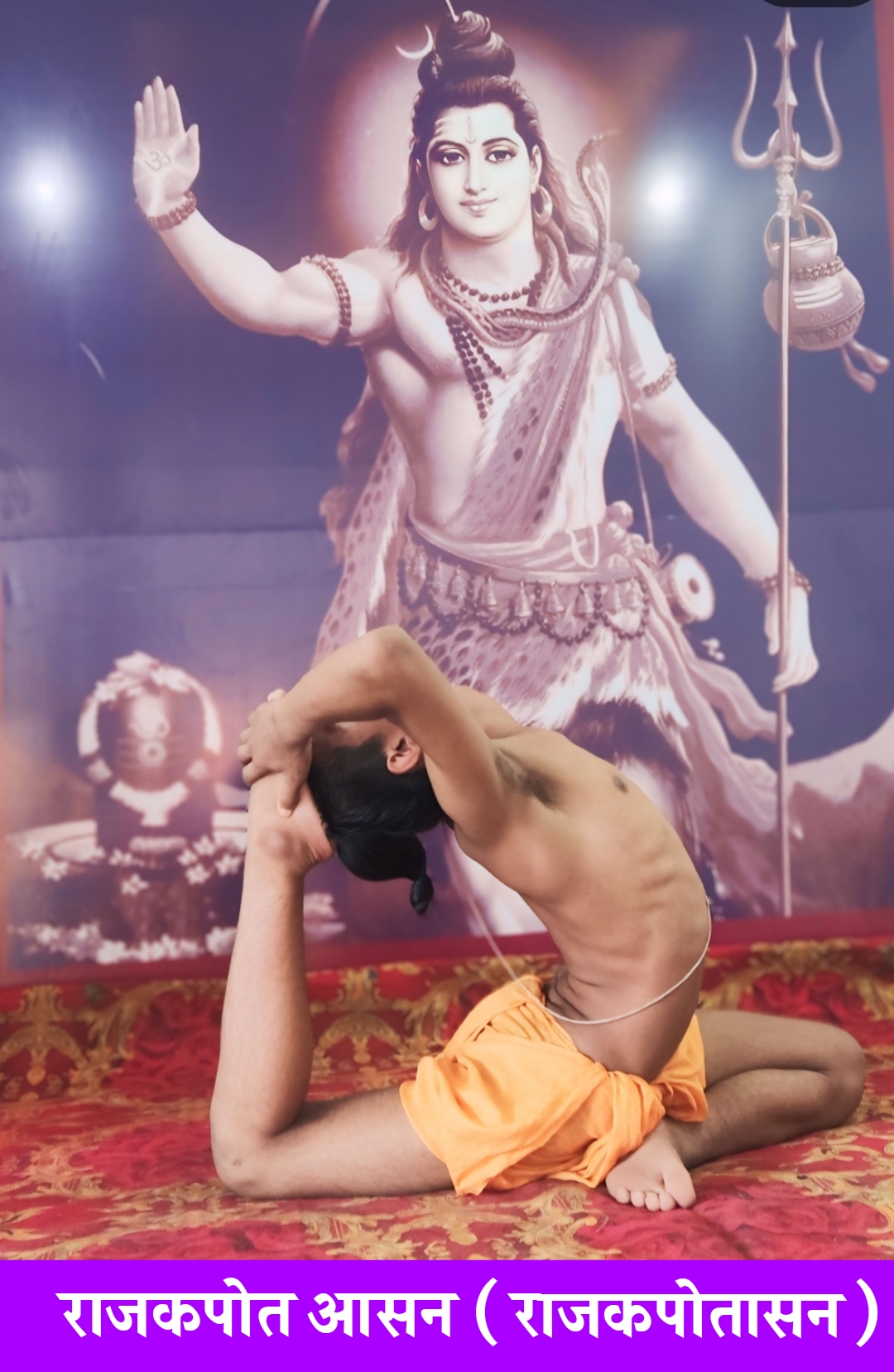 राजकपोत आसन